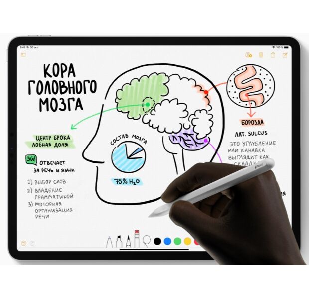 iPad Pro 12.9' Wi-Fi 1TB, SG 2018 (MTFR2) folosit